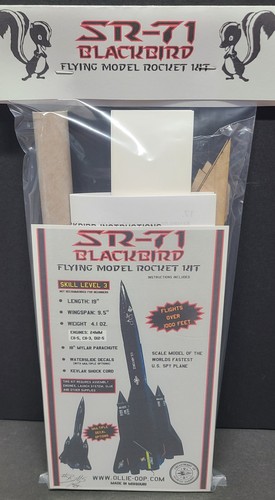 Blackbird flying model - blackbird,